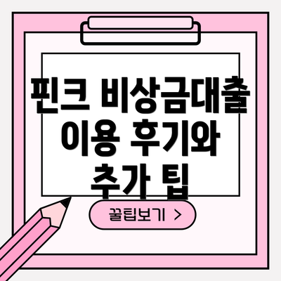 핀크 비상금대출 이용 후기와 추가 팁