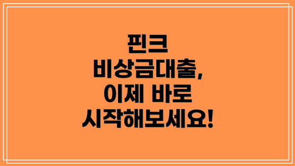 핀크 비상금대출, 이제 바로 시작해보세요!
