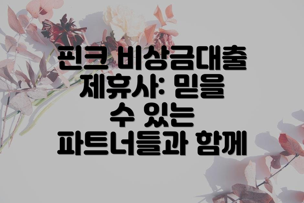 핀크 비상금대출 제휴사: 믿을 수 있는 파트너들과 함께