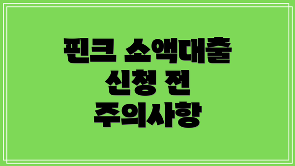 핀크 소액대출 신청 전 주의사항