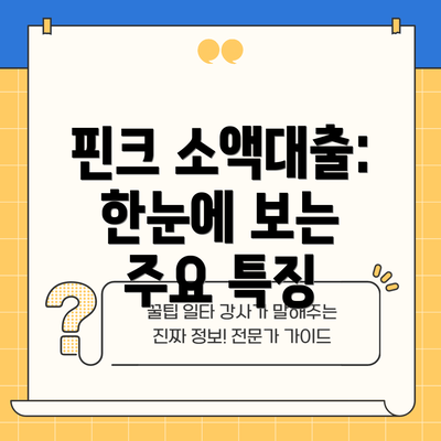 핀크 소액대출: 한눈에 보는 주요 특징
