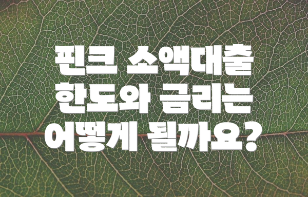 핀크 소액대출 한도와 금리는 어떻게 될까요?