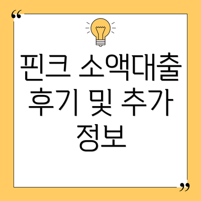 핀크 소액대출 후기 및 추가 정보