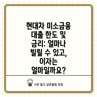 현대차 미소금융 대출 한도 및 금리: 얼마나 빌릴 수 있고, 이자는 얼마일까요?
