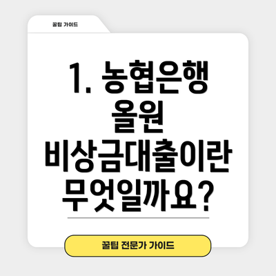 1. 농협은행 올원 비상금대출이란 무엇일까요?