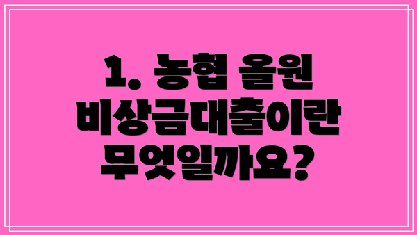 1. 농협 올원 비상금대출이란 무엇일까요?