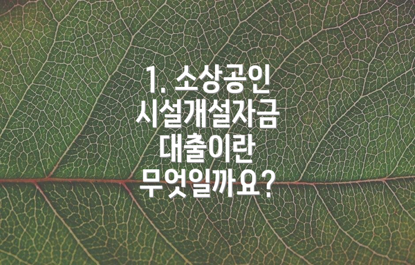 1. 소상공인 시설개설자금 대출이란 무엇일까요?