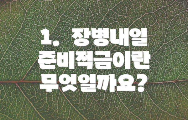 1.  장병내일준비적금이란 무엇일까요?
