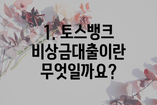 1. 토스뱅크 비상금대출이란 무엇일까요?