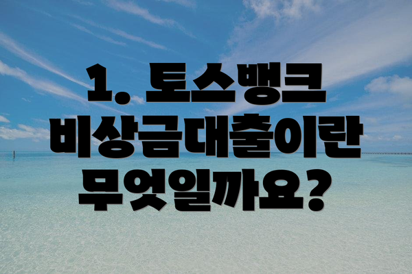 1. 토스뱅크 비상금대출이란 무엇일까요?