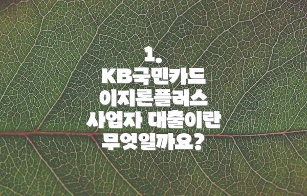 1. KB국민카드 이지론플러스 사업자 대출이란 무엇일까요?