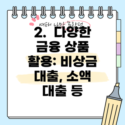 2.  다양한 금융 상품 활용: 비상금 대출, 소액 대출 등