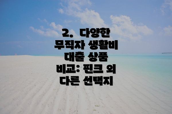 2.  다양한 무직자 생활비 대출 상품 비교: 핀크 외 다른 선택지