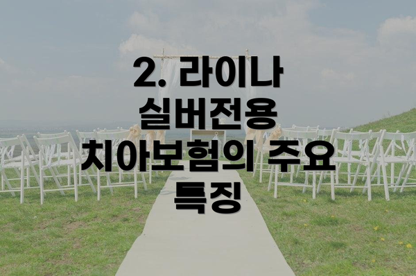 2. 라이나 실버전용 치아보험의 주요 특징