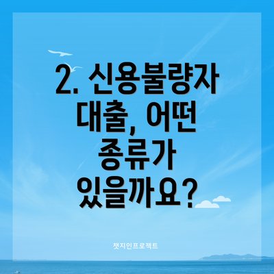 2. 신용불량자 대출, 어떤 종류가 있을까요?