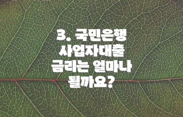 3. 국민은행 사업자대출 금리는 얼마나 될까요?
