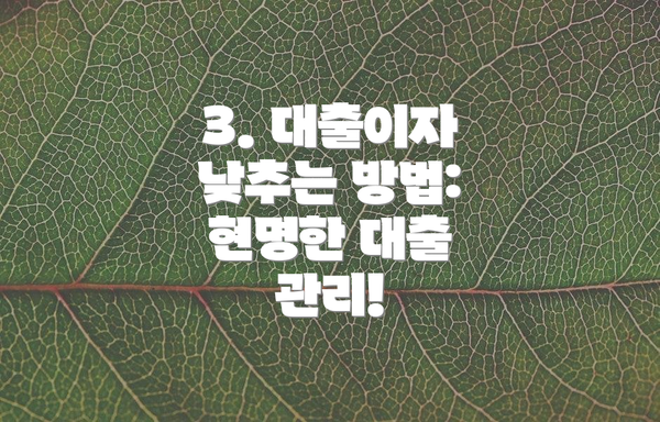 3. 대출이자 낮추는 방법: 현명한 대출 관리!