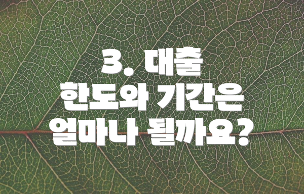 3. 대출 한도와 기간은 얼마나 될까요?