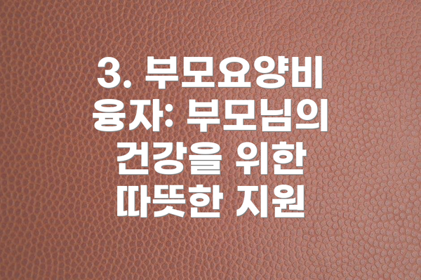 3. 부모요양비 융자: 부모님의 건강을 위한 따뜻한 지원
