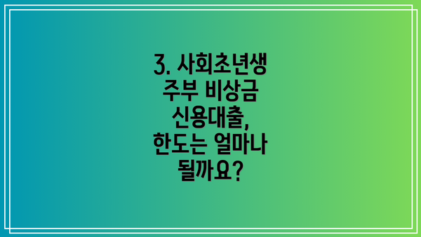 3. 사회초년생 주부 비상금 신용대출, 한도는 얼마나 될까요?