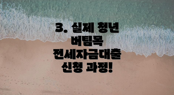 3. 실제 청년 버팀목 전세자금대출 신청 과정!