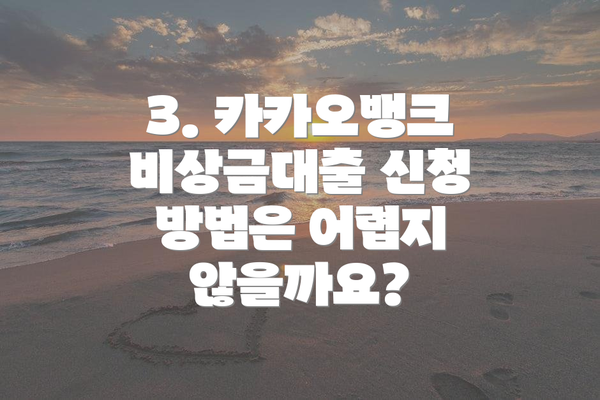 3. 카카오뱅크 비상금대출 신청 방법은 어렵지 않을까요?