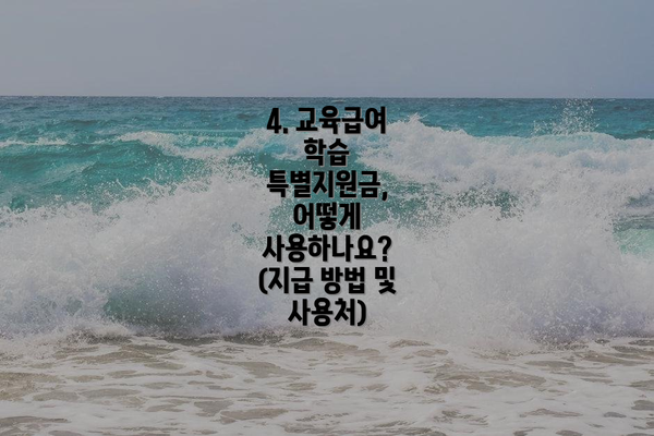 4. 교육급여 학습 특별지원금, 어떻게 사용하나요? (지급 방법 및 사용처)