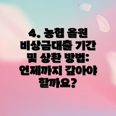 4. 농협 올원 비상금대출 기간 및 상환 방법: 언제까지 갚아야 할까요?