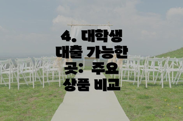 4. 대학생 대출 가능한 곳:  주요 상품 비교