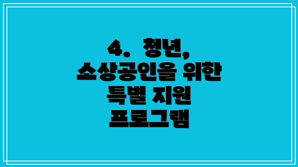 4.  청년, 소상공인을 위한 특별 지원 프로그램