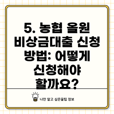 5. 농협 올원 비상금대출 신청 방법: 어떻게 신청해야 할까요?