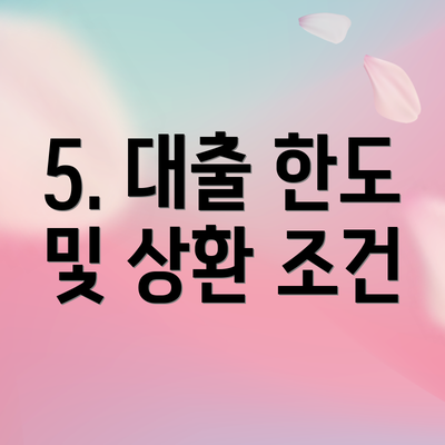 5. 대출 한도 및 상환 조건