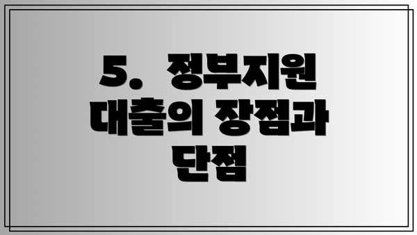5.  정부지원 대출의 장점과 단점