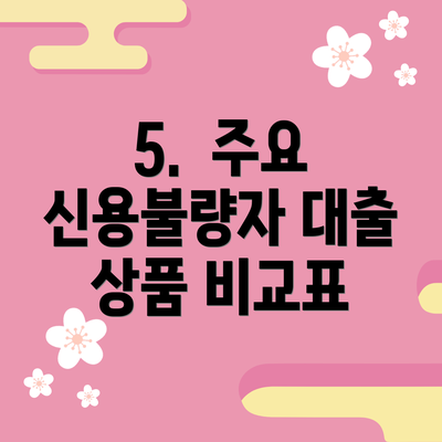 5.  주요 신용불량자 대출 상품 비교표