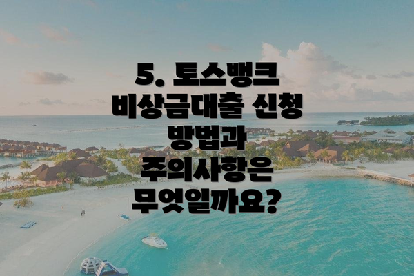 5. 토스뱅크 비상금대출 신청 방법과 주의사항은 무엇일까요?