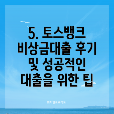 5. 토스뱅크 비상금대출 후기 및 성공적인 대출을 위한 팁