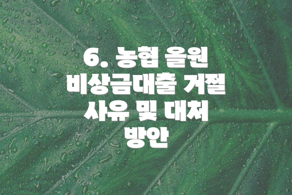 6. 농협 올원 비상금대출 거절 사유 및 대처 방안