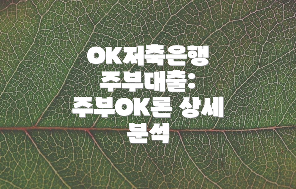 OK저축은행 주부대출: 주부OK론 상세 분석