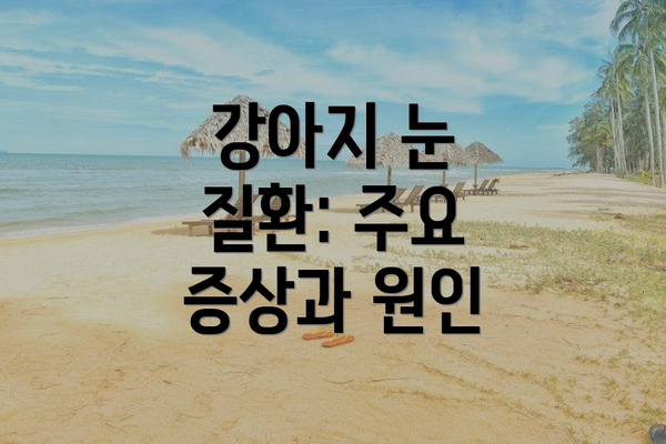 강아지 눈 질환: 주요 증상과 원인