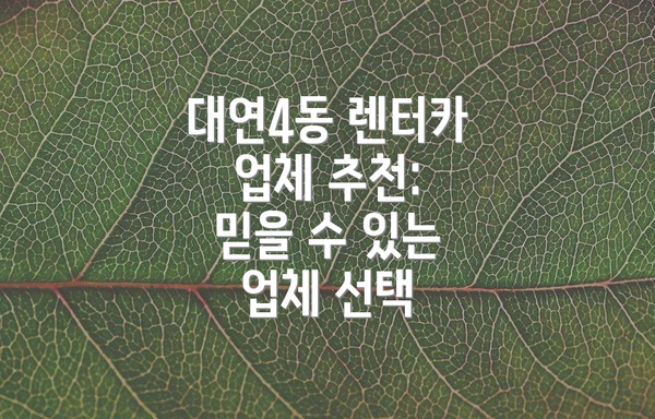 대연4동 렌터카 업체 추천:  믿을 수 있는 업체 선택