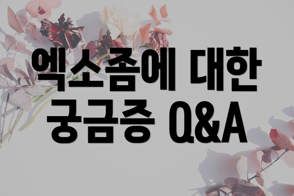 엑소좀에 대한 궁금증 Q&A