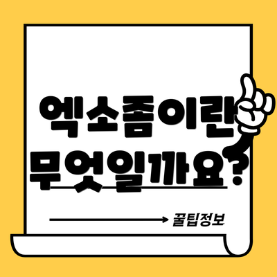 엑소좀이란 무엇일까요?