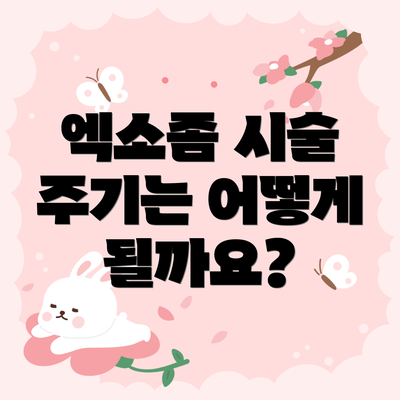 엑소좀 시술 주기는 어떻게 될까요?