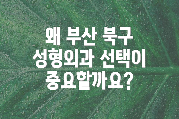 왜 부산 북구 성형외과 선택이 중요할까요?