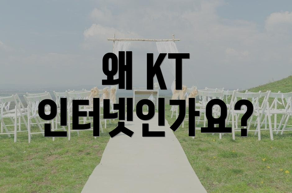 왜 KT 인터넷인가요?
