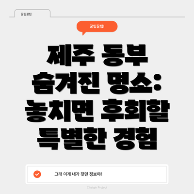 제주 동부 숨겨진 명소: 놓치면 후회할 특별한 경험