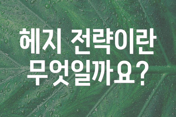헤지 전략이란 무엇일까요?