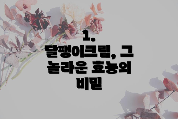 1. 달팽이크림, 그 놀라운 효능의 비밀