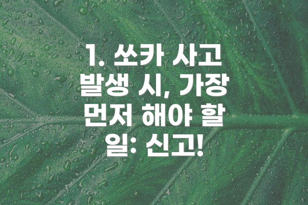 1. 쏘카 사고 발생 시, 가장 먼저 해야 할 일: 신고!