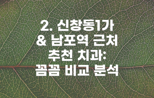 2. 신창동1가 & 남포역 근처 추천 치과: 꼼꼼 비교 분석